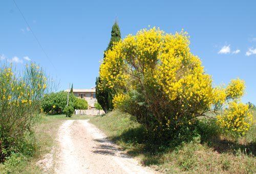 Montecchio * Semproniano
