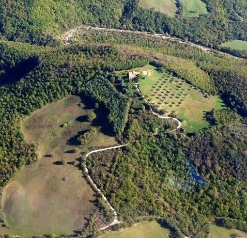 Farm stay Montecchio