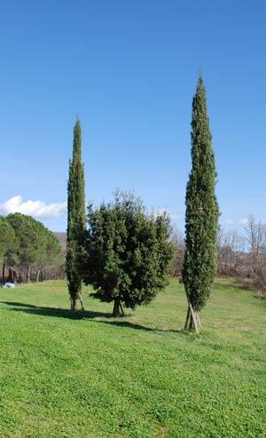 Montecchio Farm stay Semproniano
